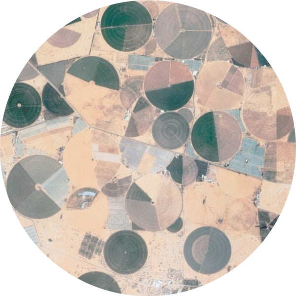 Recursion Ep (Vinyl)