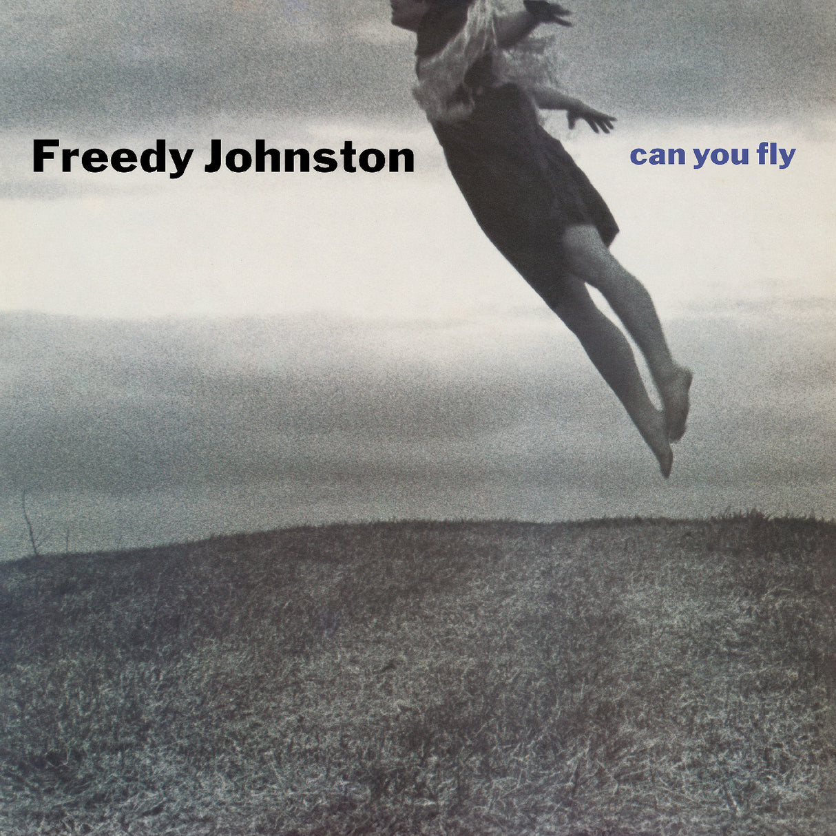 Can You Fly (Clear Vinyl) (Vinyl)