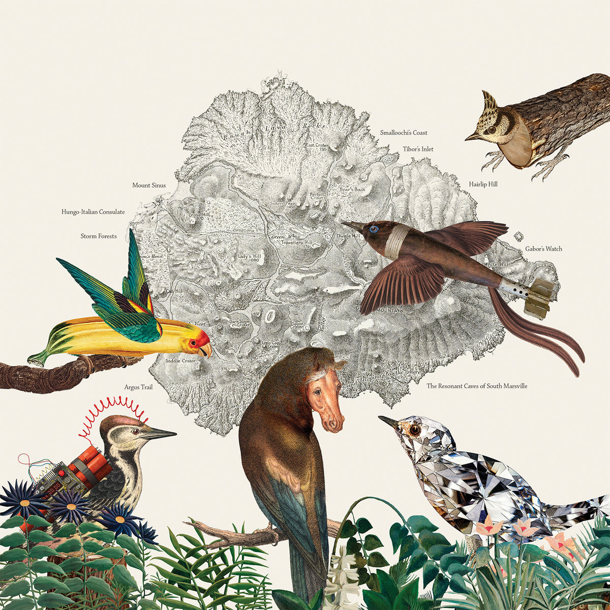 The Birds Of Marsville (Vinyl)