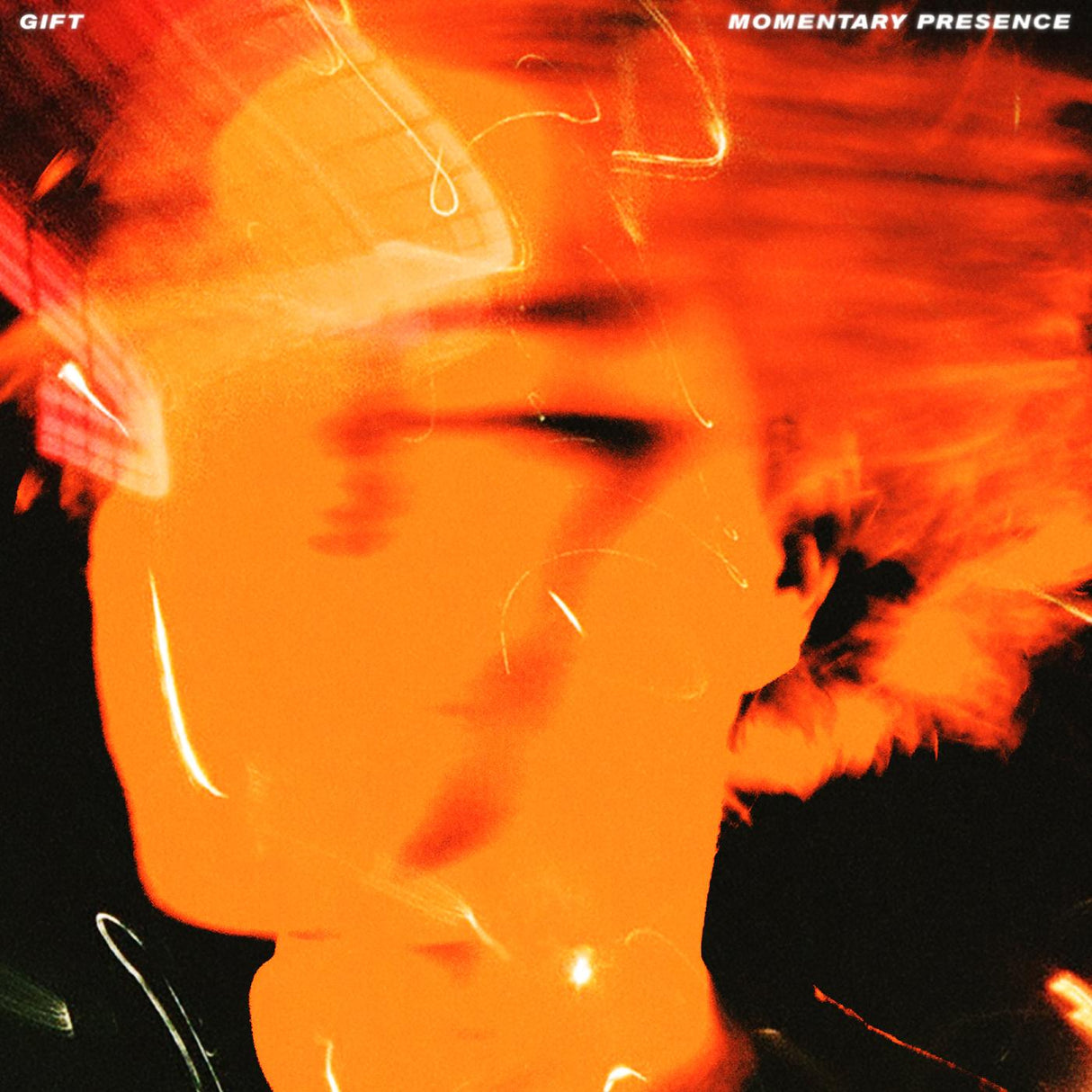 Momentary Presence (Vinyl) - Apocalypse Vinyl