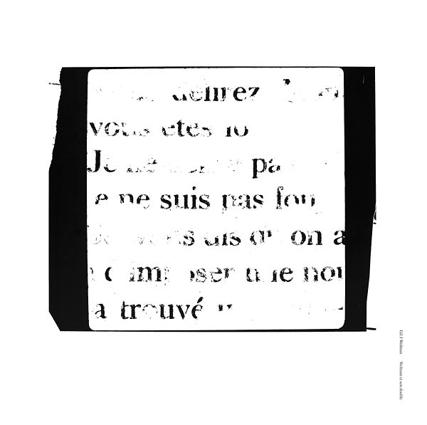 Wolman et son double (Vinyl)