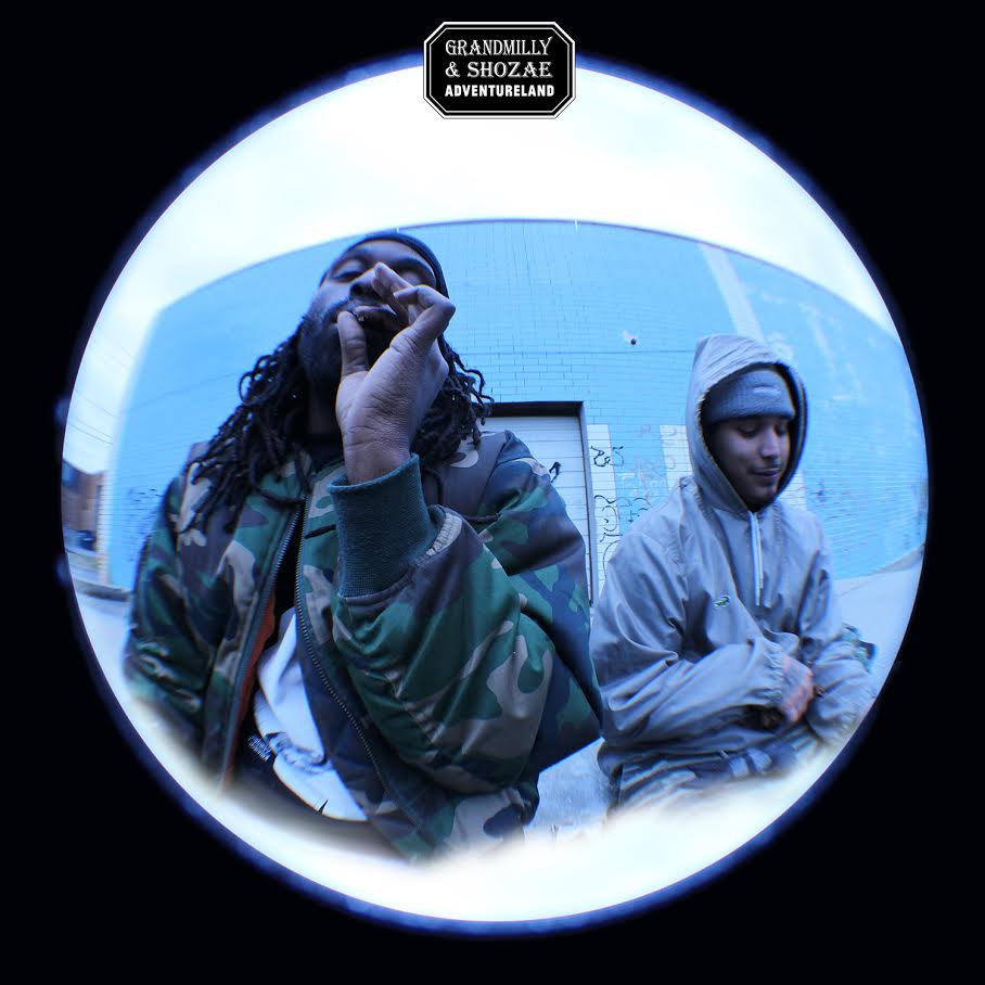 Adventureland (Vinyl)