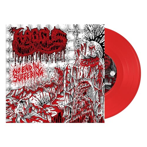 No End In Suffering (Vinyl)