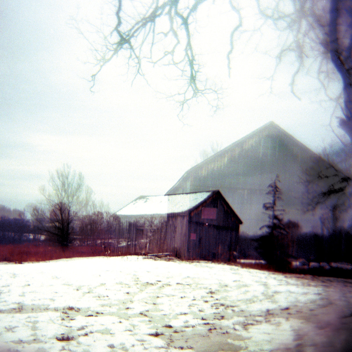House With No Home (CD)