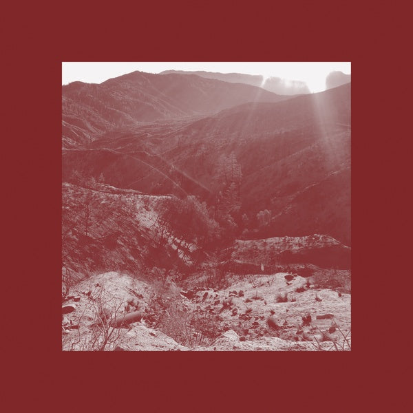On The Darkest Day, You Took My Hand And Swore It Will Be Okay (CD)
