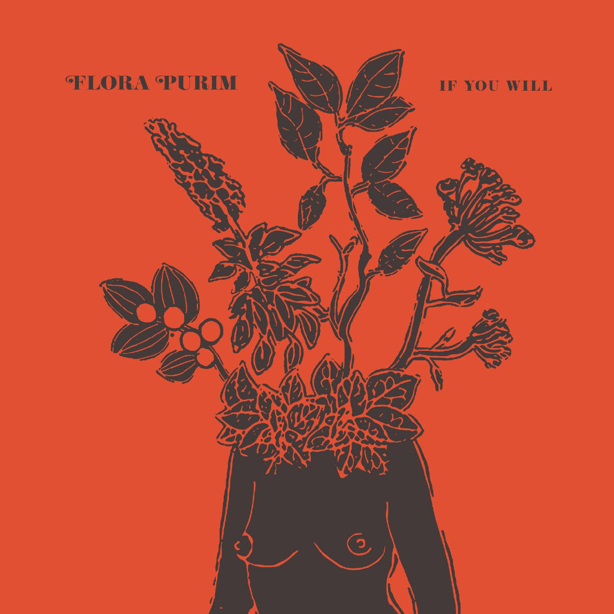 If You Will (Vinyl) - Apocalypse Vinyl