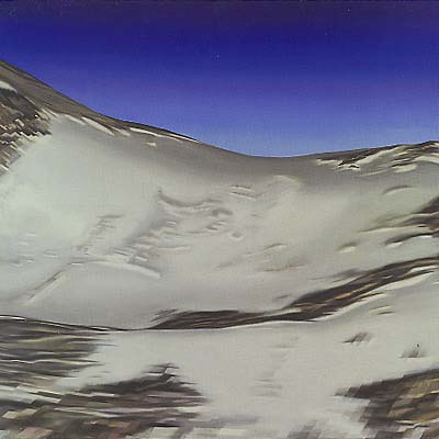 Penetrans (Vinyl) - Apocalypse Vinyl