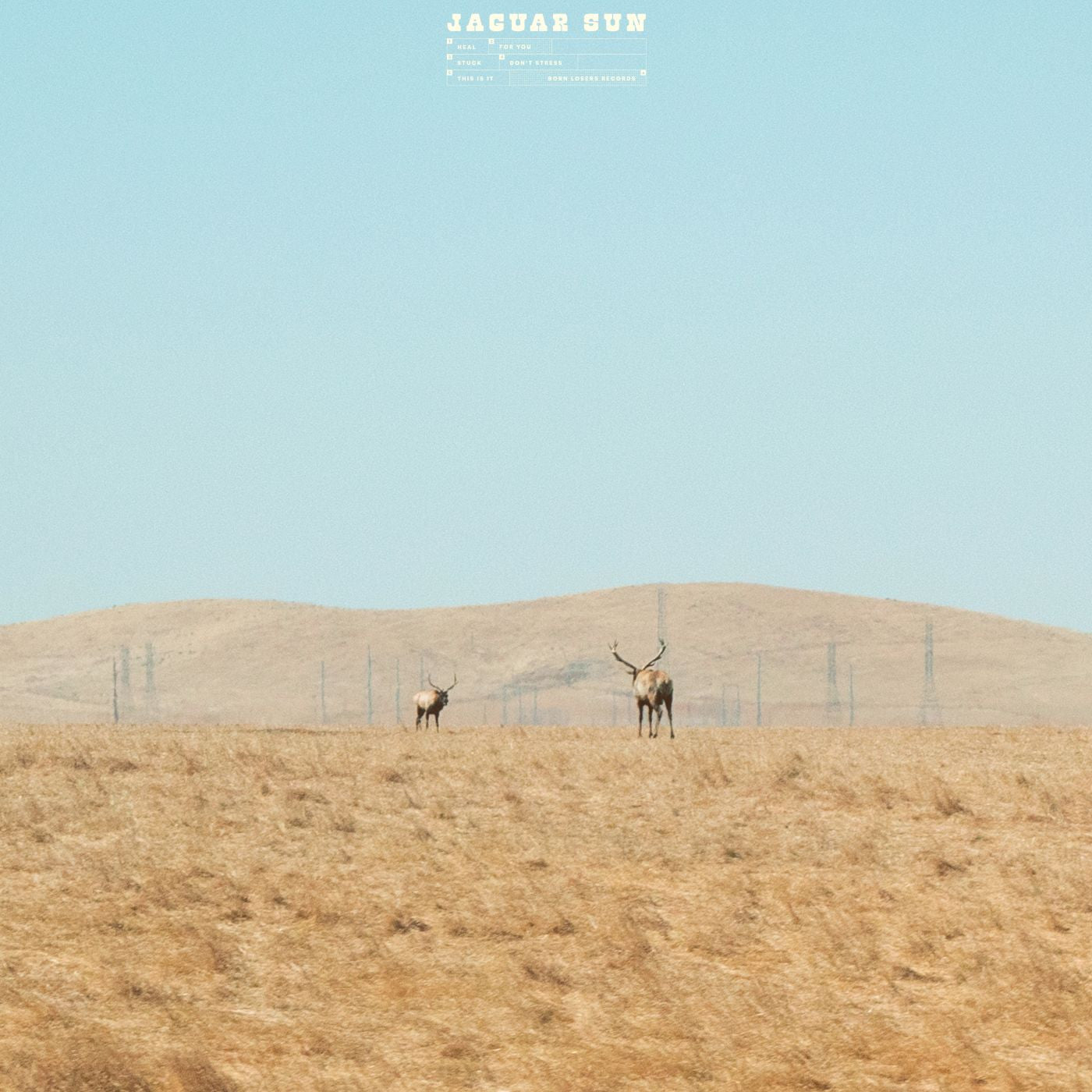 For You (Blue And Black Swirl Vinyl) (Vinyl)