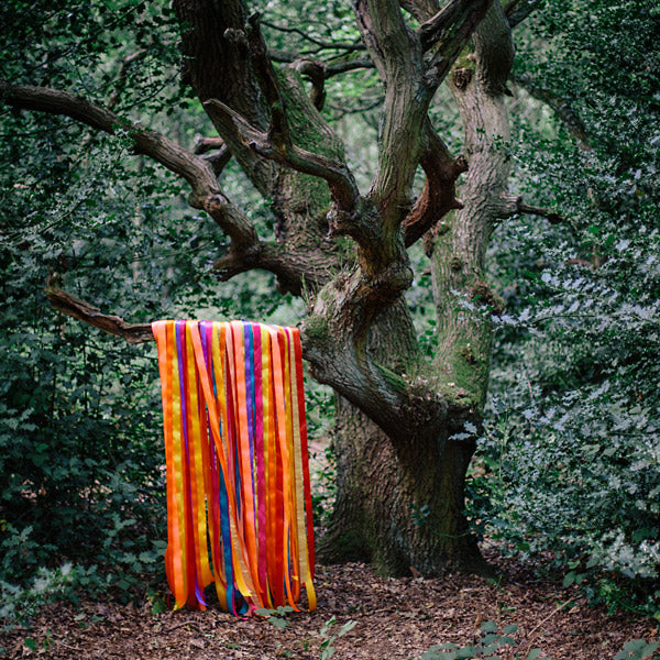 The Animal Spirits (CD)