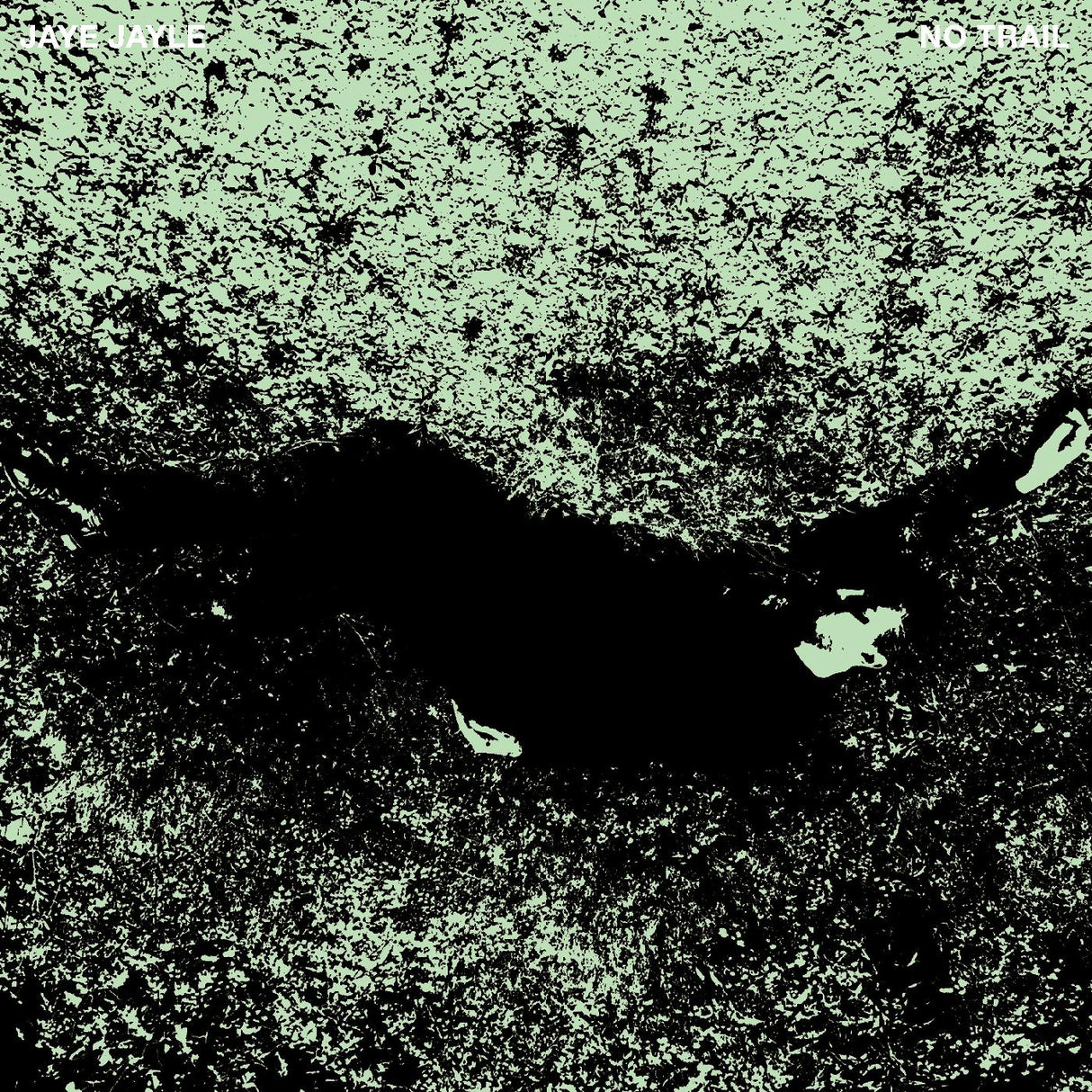 No Trail and Other Unholy Paths (Vinyl) - Apocalypse Vinyl
