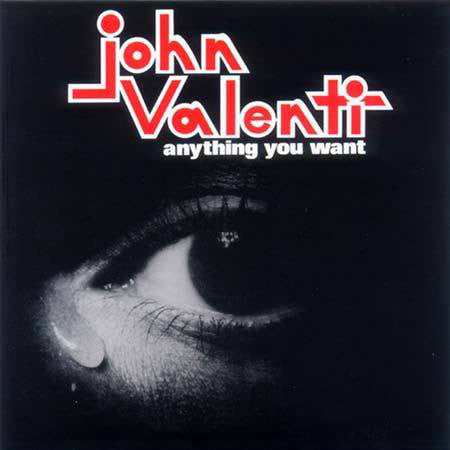 Anything You Want (Vinyl)