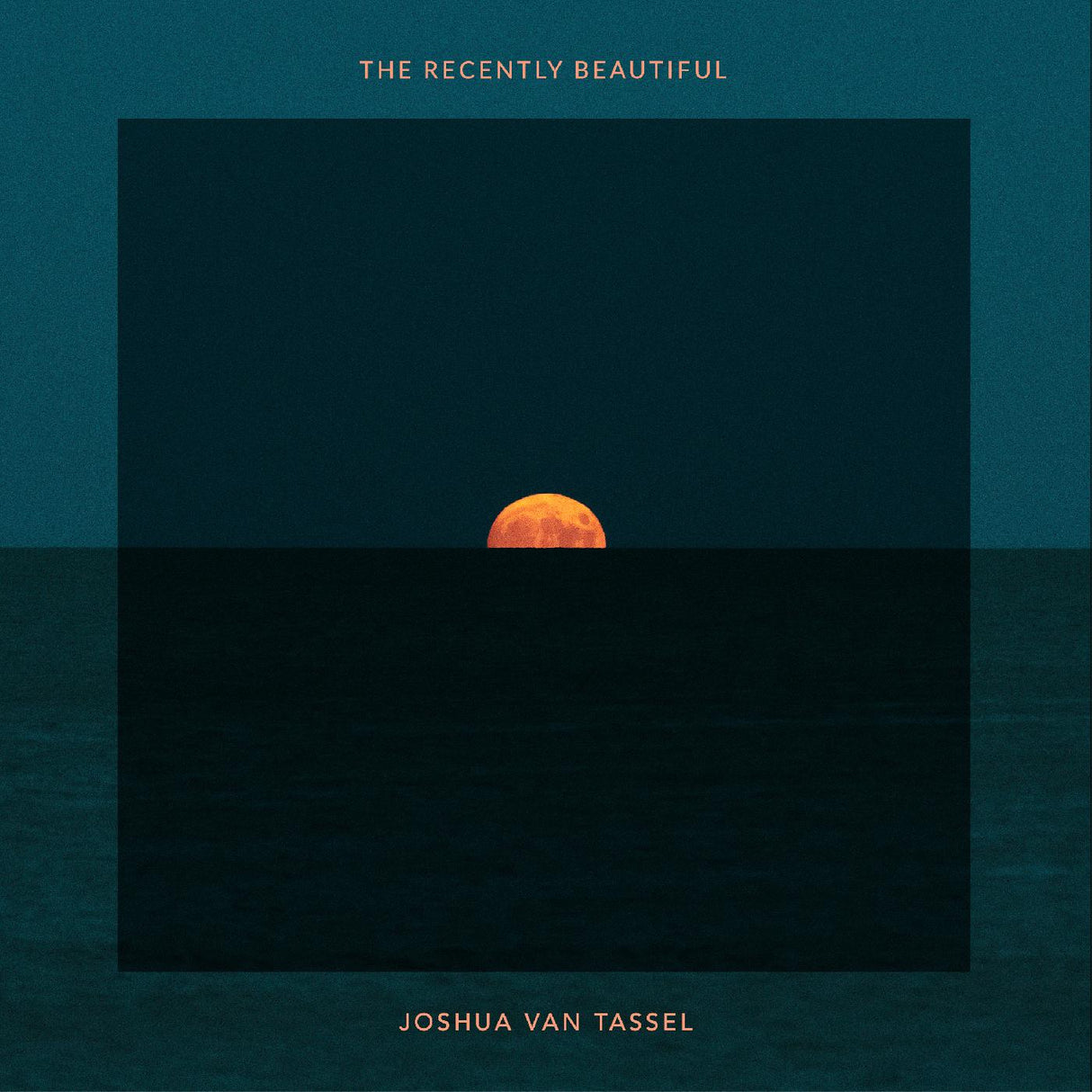 The Recently Beautiful (Vinyl) - Apocalypse Vinyl