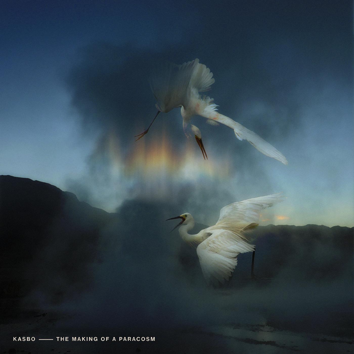 The Making of a Paracosm (WHITE VINYL) (Vinyl)