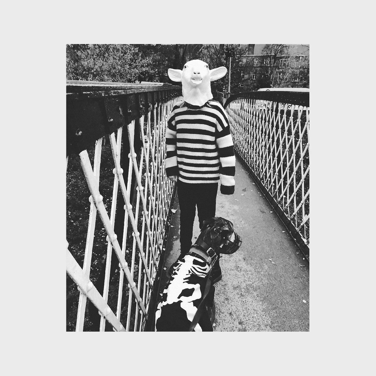 We Were Made Prey. (Red Vinyl) (Vinyl)