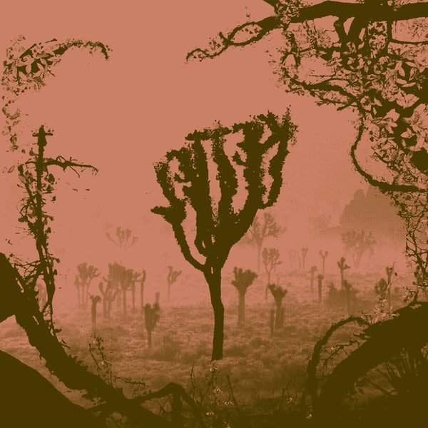 My Dogan (Vinyl) - Apocalypse Vinyl