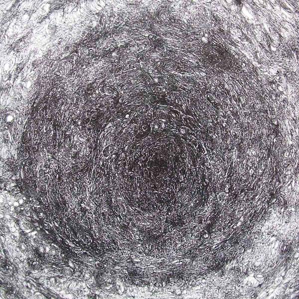 The Back Room (Vinyl) - Apocalypse Vinyl