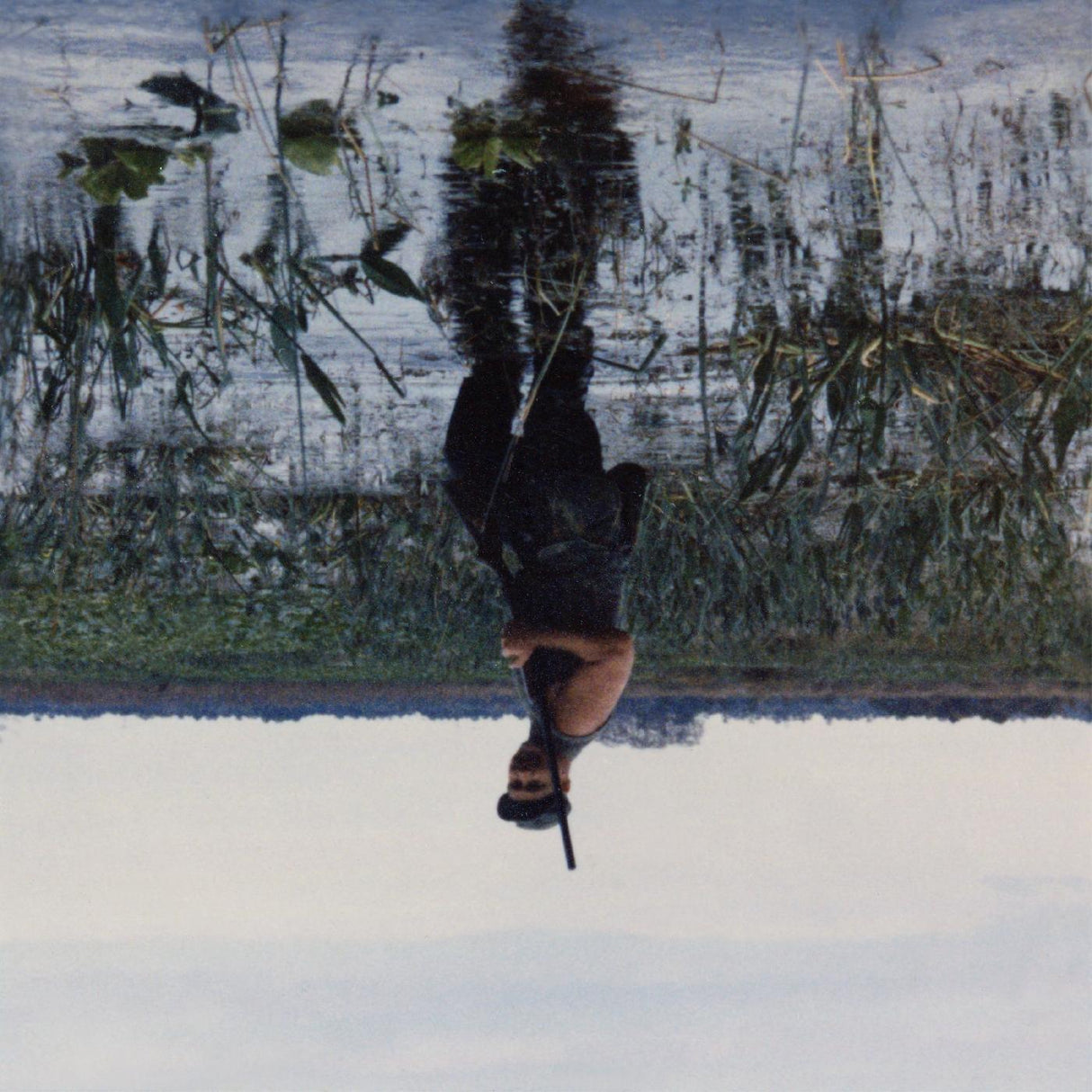 Animal Drowning (DELUXE EDITION, MARBLED BEIGE & PINK VINYL) (Vinyl) - Apocalypse Vinyl
