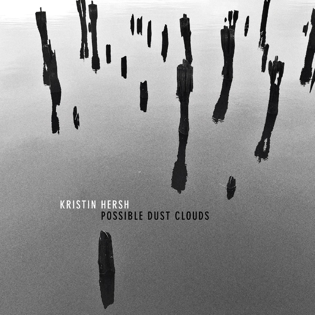 Possible Dust Clouds (Vinyl)