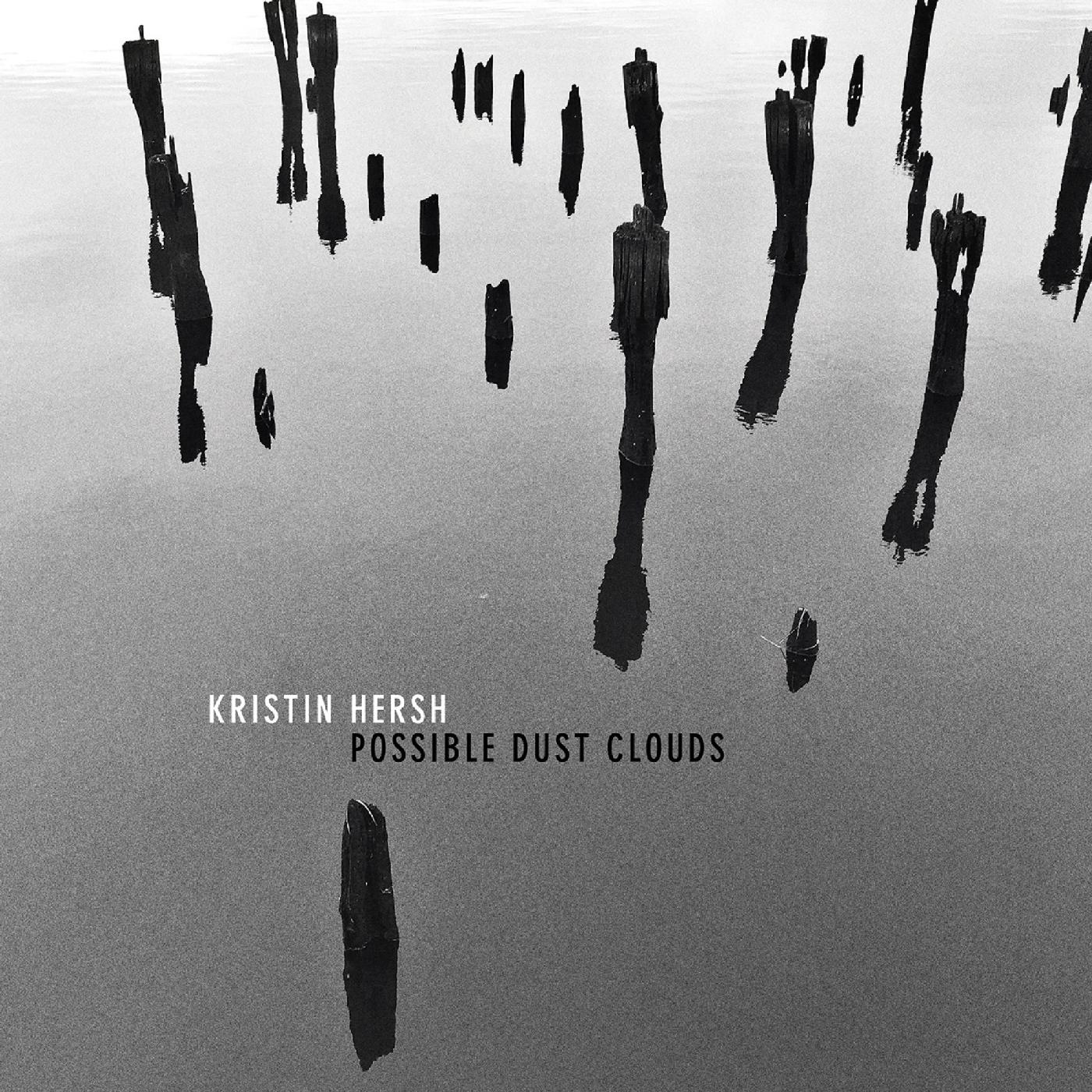 Possible Dust Clouds (Vinyl)