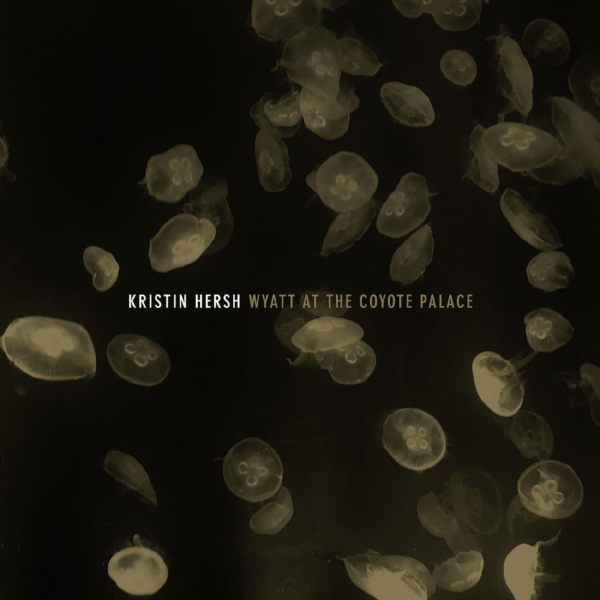 Wyatt at the Coyote Palace (Vinyl) - Apocalypse Vinyl