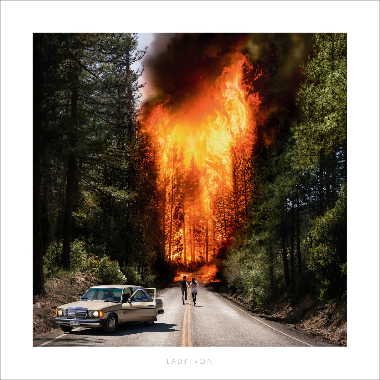 Ladytron (CD)