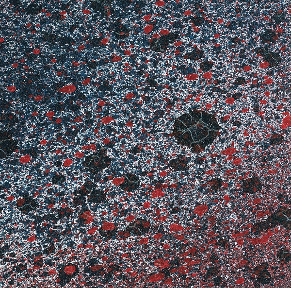 Superior State (Vinyl)