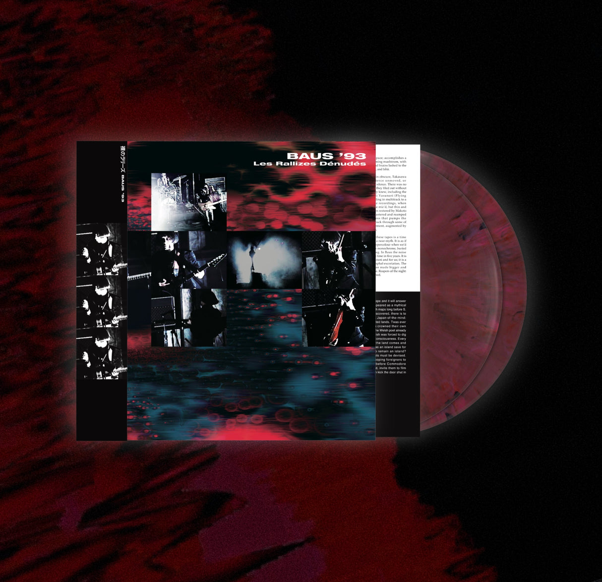 Baus ‘93 (Vinyl)
