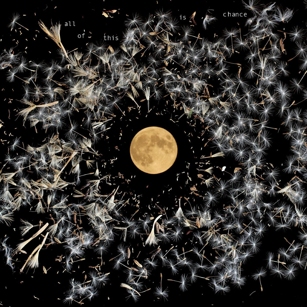 All Of This Is Chance (Vinyl) - Apocalypse Vinyl