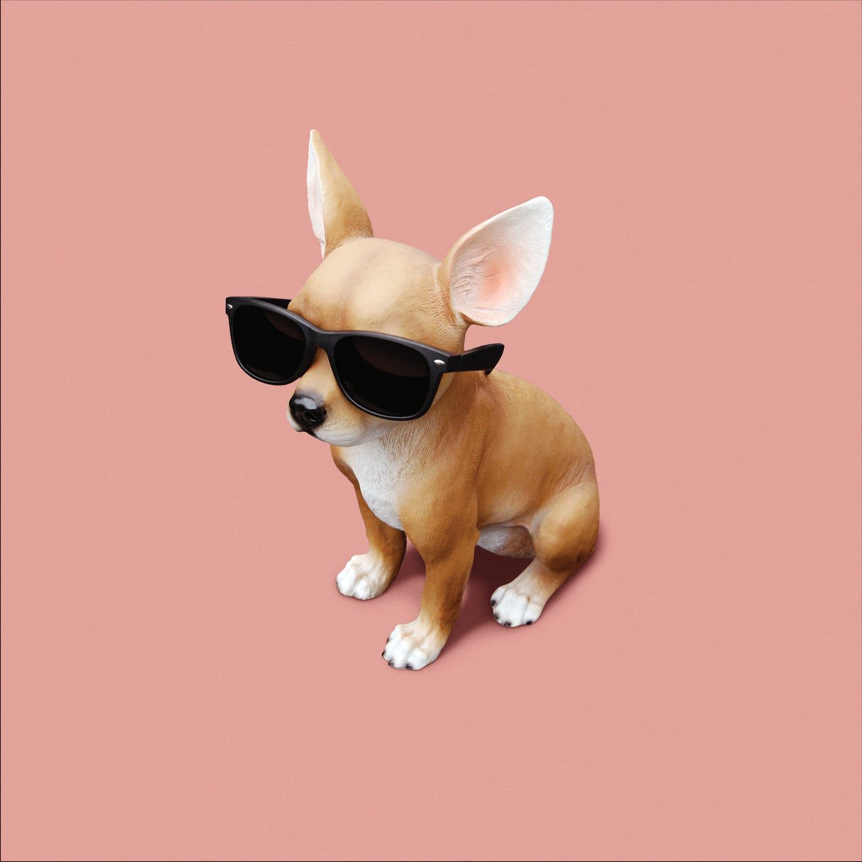 Lo Tom (Vinyl)