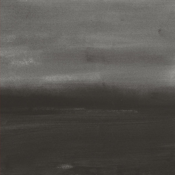 Evening Air (Vinyl) - Apocalypse Vinyl