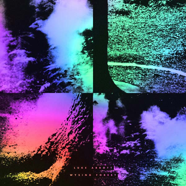 Wysing Forest (CD)