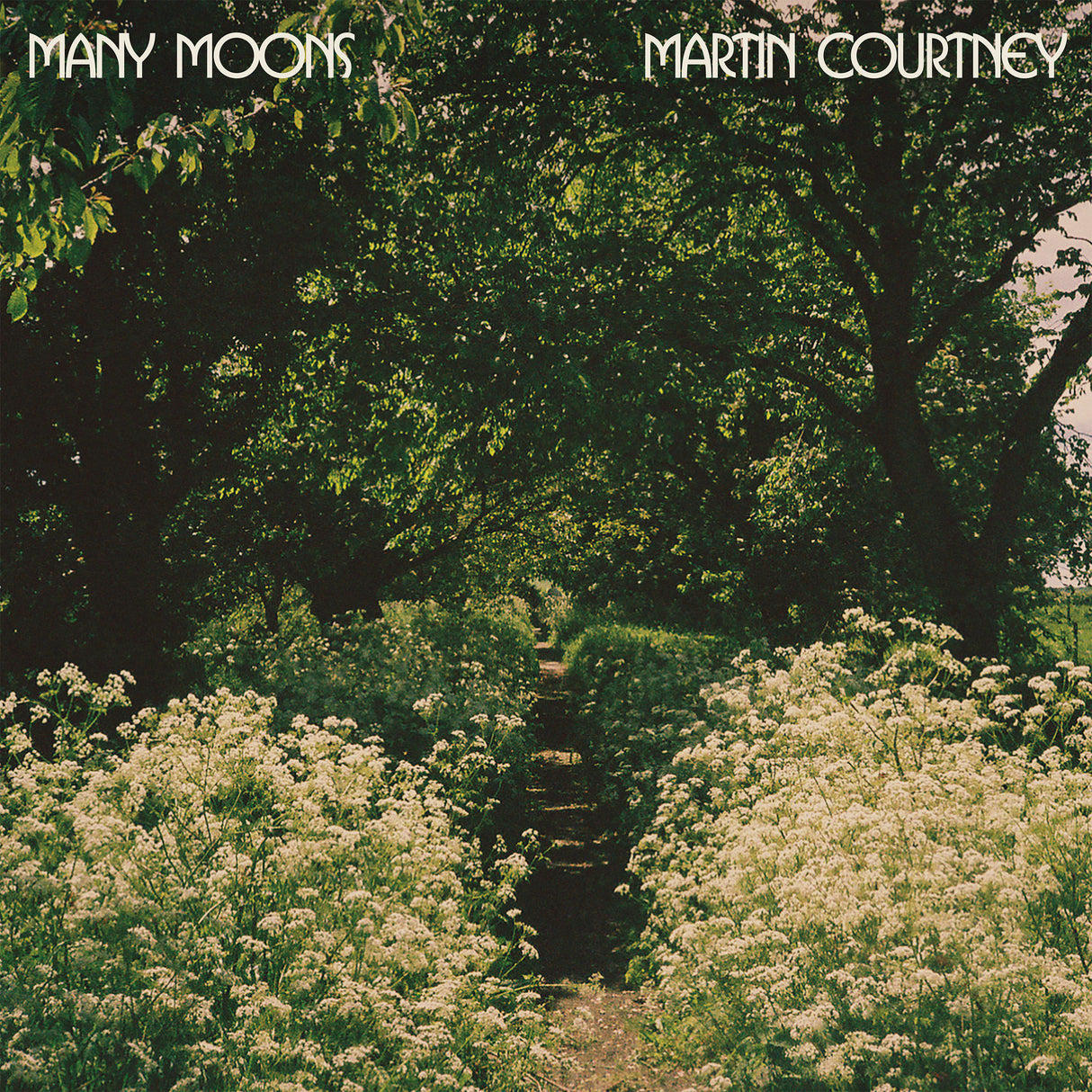 Many Moons (CD)