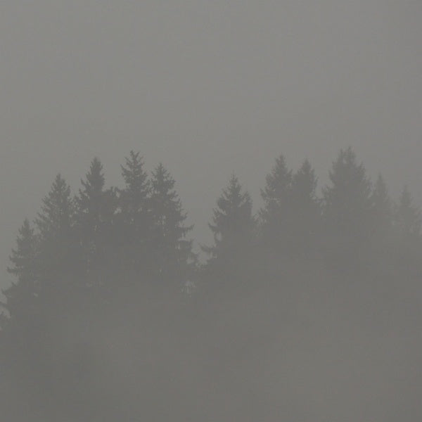 Donnerwetter (Vinyl)