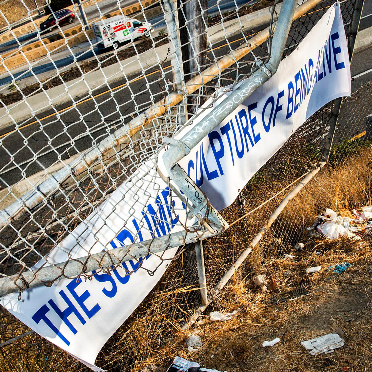 The Sublime Sculpture of Being Alive (Vinyl)