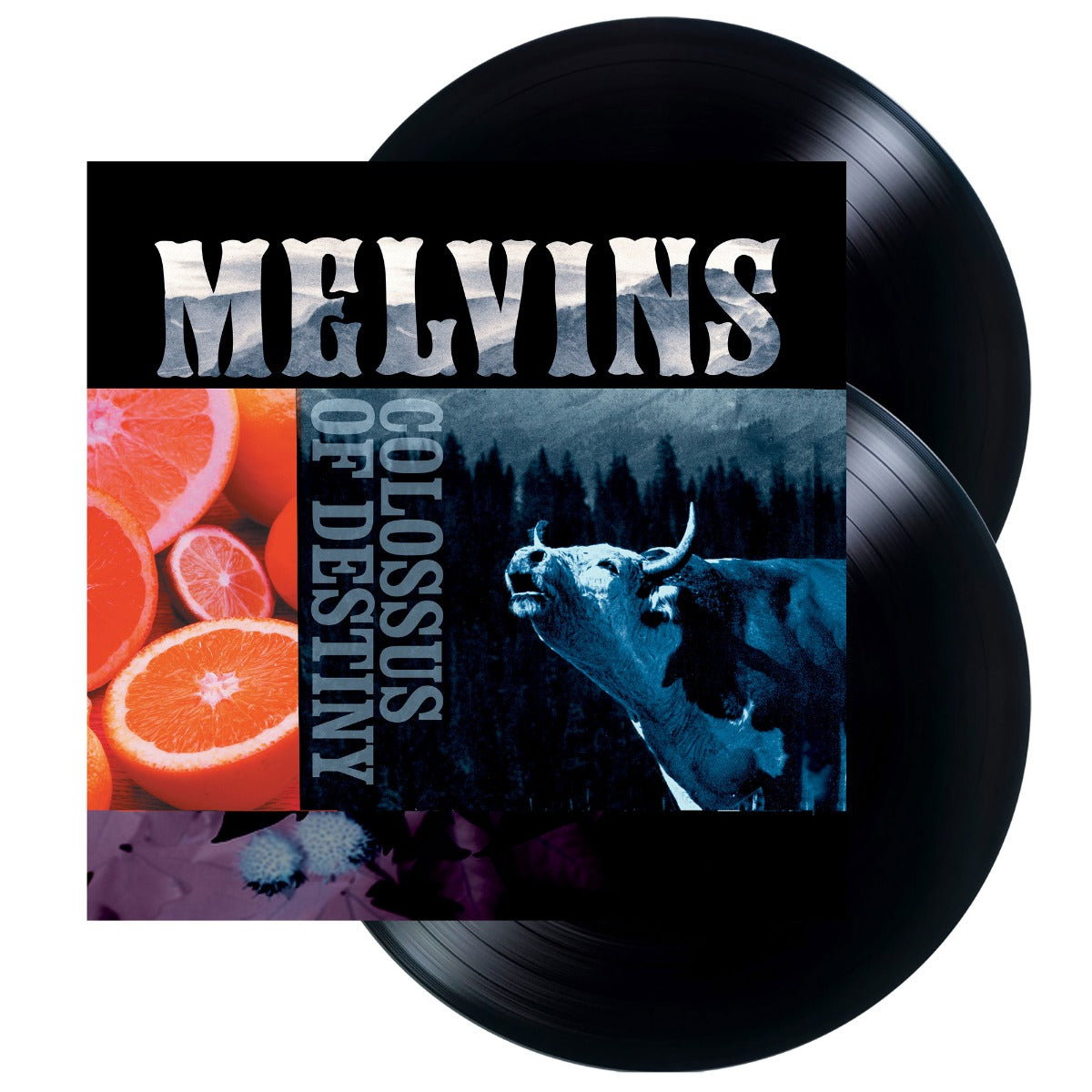 Colossus Of Destiny (2LP Vinyl Reissue) (Vinyl)