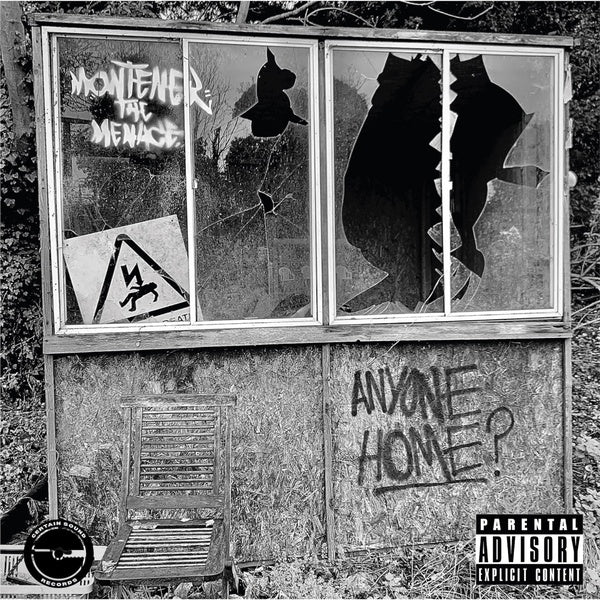 Anyone Home? (Vinyl) - Apocalypse Vinyl