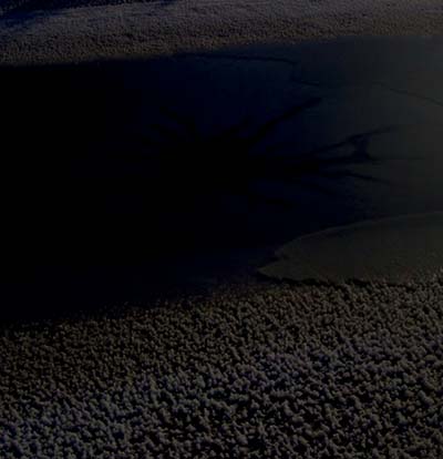 Polar Satellites (Vinyl)