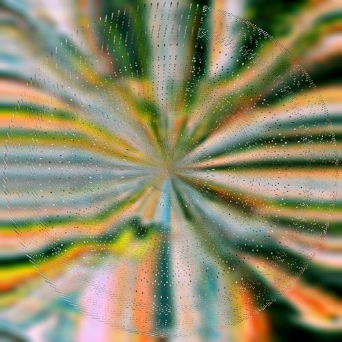 Everlight (Vinyl)