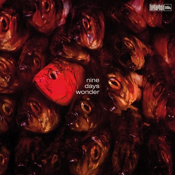 Nine Days Wonder (Vinyl)