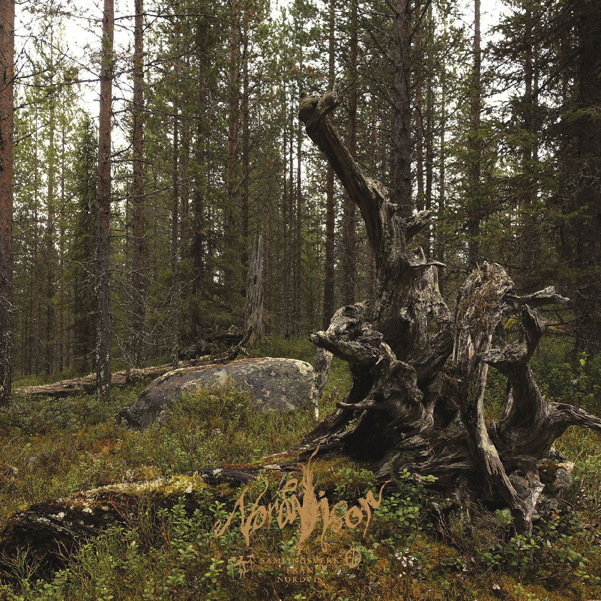 Ett samlingsverk från Nordvis (BLACK & GOLD / BLACK & COPPER VINYL) (Vinyl)