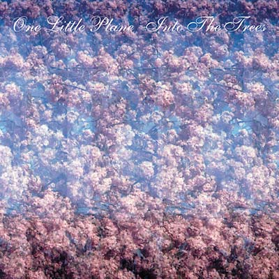 Into The Trees (CD)
