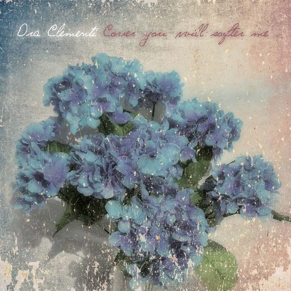Cover you will softer me (Vinyl)