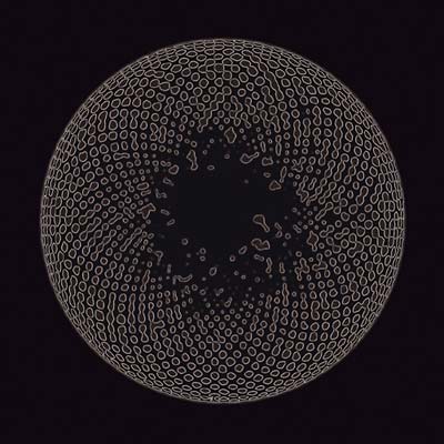 Organ Eye (CD)