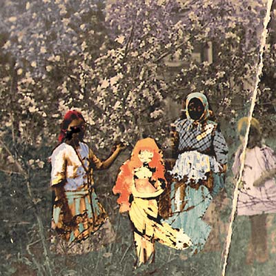 Laulu Laakson Kukista (CD)