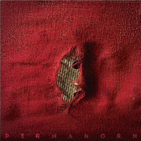 My Blood Carries My Dreams Away (Vinyl) - Apocalypse Vinyl