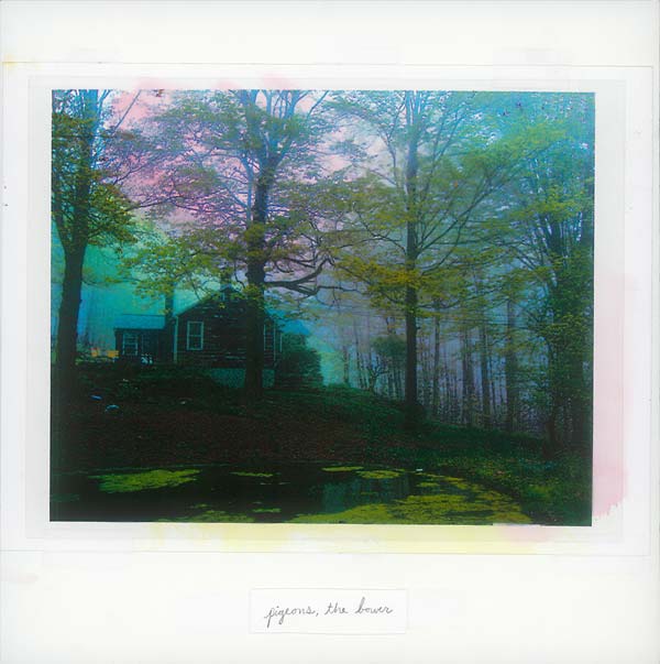 The Bower (Vinyl) - Apocalypse Vinyl