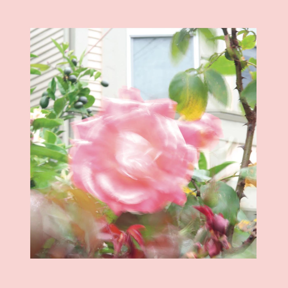 Summer At Land's End (CD)