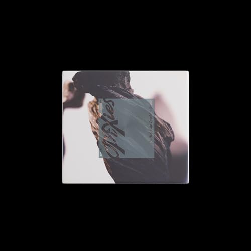 The Night The Zombies Came (CD)