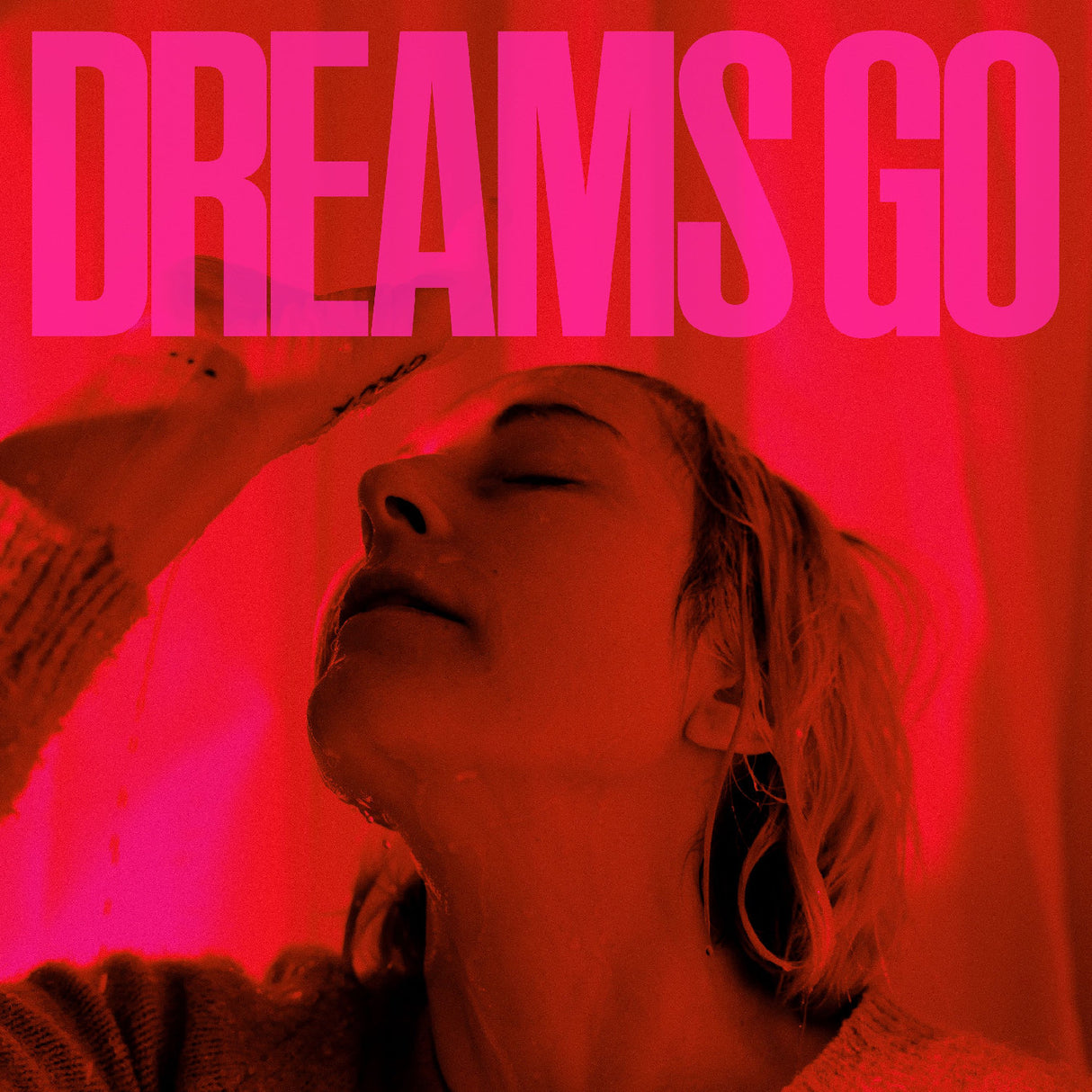 Dreams Go (Vinyl)