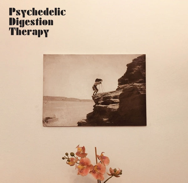 Psychedelic Digestion Therapy (Vinyl) - Apocalypse Vinyl